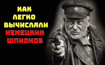 Шпион, выйди вон | Пикабу