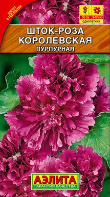 Мальва (шток-роза) розовая Чатерс Доубле Микс: купить в Москве саженцы  Alcea rosea Chaters Doubles Mix в питомнике «Медра»