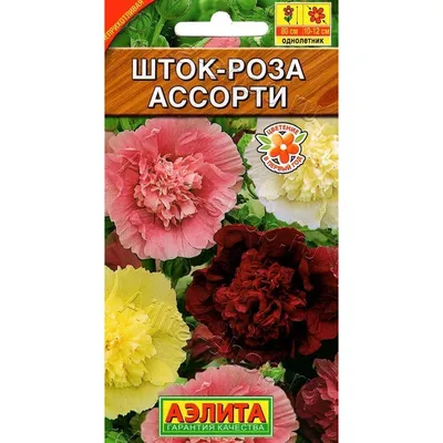 Семена Цветы, Шток-роза, Смесь окрасок, 0.1 г, цветная упаковка, Поиск в  Белгороде: цены, фото, отзывы - купить в интернет-магазине Порядок.ру