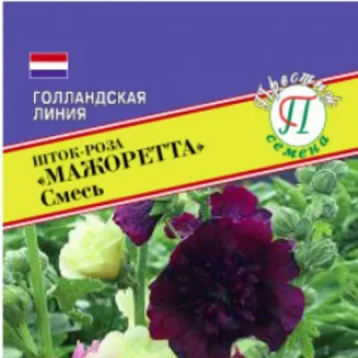 Роза Обыкновенная Пленифлора Роуз – купить саженцы в интернет-магазине Лафа  с доставкой по Москве, Московской области и России