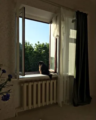 Кошка приносит цветок весенний рисунок на белом окне занавески для дома  шторы в гостиной и детской спальне | AliExpress