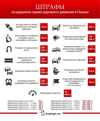Штрафы за просроченную регистрацию иностранного гражданина в РФ в 2024 году
