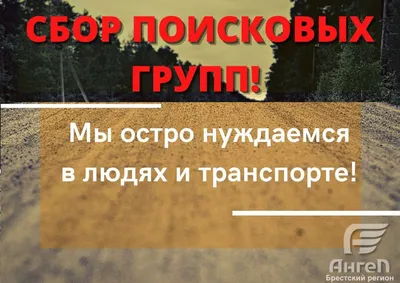 Вовка Абрамушкин, Вася Белкин и другие такие же: Рассказы, Георгиев Сергей  . Внеклассное чтение , Стрекоза , 9785995149712 2021г. 632,00р.