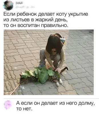 Анекдоты И Смешные Картинки в Instagram: «#долма #кот #ребенок #жарко  #листья #укрытие #еда #смешно #забавно #шутка» | Мемы, Шутки, Веселые мемы
