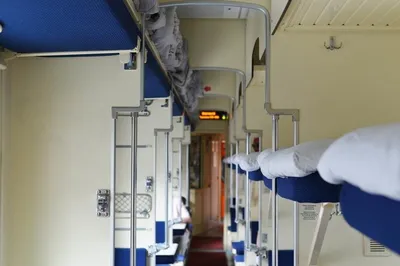 СХЕМА ВАГОНОВ ПОЕЗДА СТРИЖ: схема вагонов высокоскоростной поезда Стриж