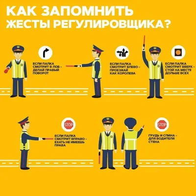 ГАИ информирует © Средняя школа 116