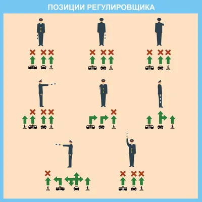 Сигналы регулировщика в картинках. Векторный клипарт. - Автомобили и  транспорт