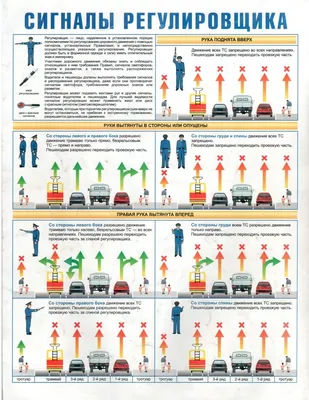 регулировщик, ПДД правила дорожного движения, регулировщик, на перекрёстке,  в картинках, как быстро запомнить видео, картинки, все транспортные  средства | Автомобильный материал, Дорожные знаки, Новые водители