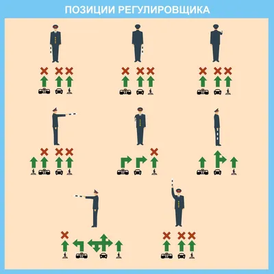 Как легко запомнить сигналы регулировщика с пояснениями в картинках