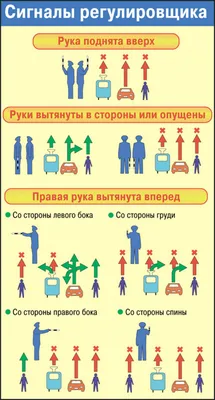 Сигналы регулировщика в картинках. Пункт 8.3 раздела Регулировка дорожного  движения