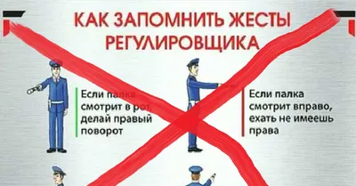 Правила дорожного движения