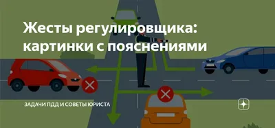 Сдать на права с первого раза: 6 популярных способов 🚗