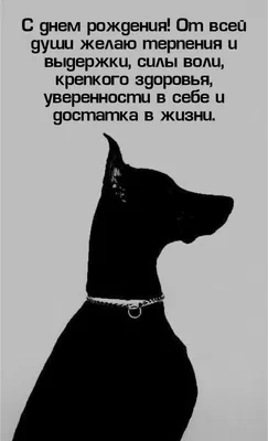 Энергия йоги. Восточный метод обретения силы, здоровья и душевного  равновесия Мария Шифферс - купить книгу Энергия йоги. Восточный метод  обретения силы, здоровья и душевного равновесия в Минске — Издательство  Эксмо на OZ.by