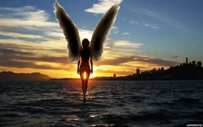 Девушка ангела силуэт с крыльями Иллюстрация вектора - иллюстрации  насчитывающей тень, торжество: 210339528