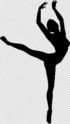 силуэт балерины на белом фоне Иллюстрация вектора - иллюстрации  насчитывающей классицистическо, бобра: 215488526