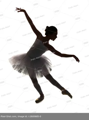 Балерина Танцы Силуэт - Бесплатная векторная графика на Pixabay - Pixabay