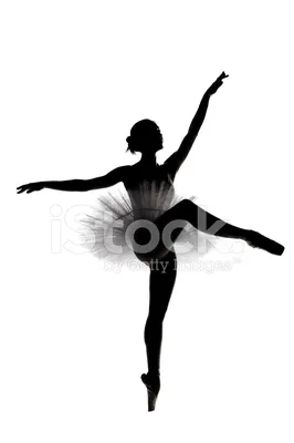 Черный И Белый Силуэт Балерины Фотография, картинки, изображения и  сток-фотография без роялти. Image 27733993
