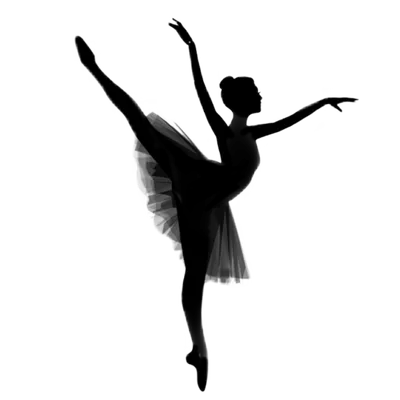 Силуэт Балерины Девушки Из Черных Частиц — стоковая векторная графика и  другие изображения на тему Активный образ жизни - Активный образ жизни,  Артист балета, Балет - iStock