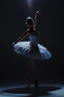 Балерина Силуэт С Длинная Юбка Стоковый Вектор | FreeImages