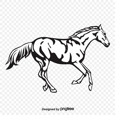 Векторный рисунок. Силуэт пятнистой лошади Stock Vector | Adobe Stock