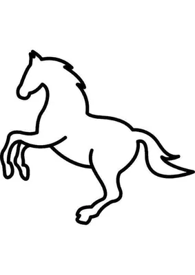 Силуэт лошади на белом фоне | Премиум Фото
