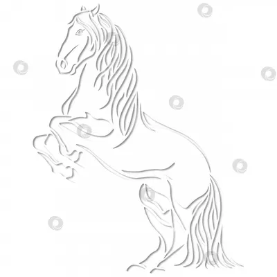 Лошадь Лошади Силуэт - Бесплатное изображение на Pixabay - Pixabay