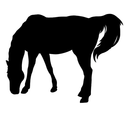 Галопирующий Силуэт Лошади — стоковая векторная графика и другие  изображения на тему Лошадь - Лошадь, Силуэт, Векторная графика - iStock