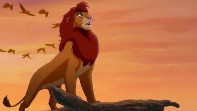 Обои на рабочий стол Simba / Симба из мультфильма The lion king / Король лев,  обои для рабочего стола, скачать обои, обои бесплатно