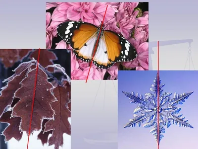 симметричные снежинки : полужирные фигуры и яркие цвета на белом фоне  Иллюстрация штока - иллюстрации насчитывающей снежинки, форма: 287809694
