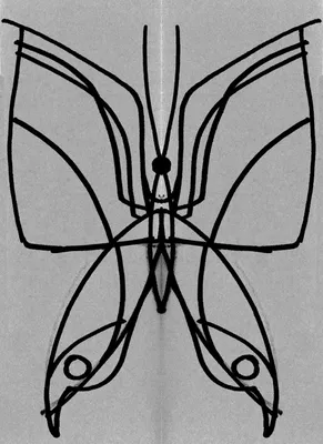 Рисунок осевая симметрия сложная (64 фото) скачать
