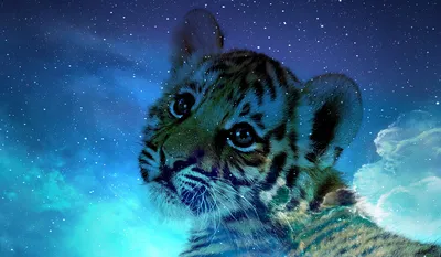 Черно-Голубой Водяной Тигр - животное-символ 2022, что принесет и чем  порадует в Новом Году - обзор от Eli.ru