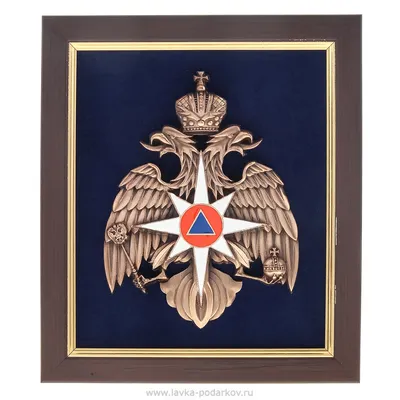 Эмблема МЧС России на форме