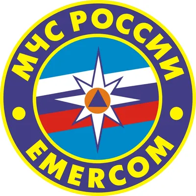 Плакетка \"Герб МЧС России\" 21х18 см, арт. 8100258 — 8500 руб. купить в  каталоге интернет-магазина Лавка Подарков в Москве