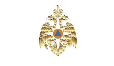 Часы Восток Командирские 439639 символика Министерства Чрезвычайных Ситуаций  (МЧС) России | AliExpress