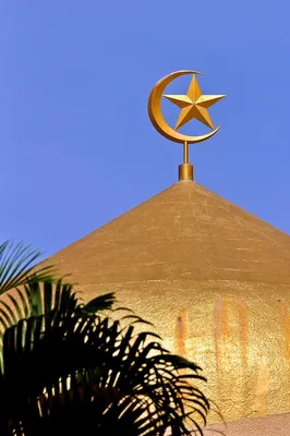 Аллах Символы Ислама Религиозный символ Религия, Ислам, текст, логотип,  монохромный png | Klipartz