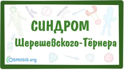 Синдром Шерешевского - Тернера - Фрилансер Ольга Королева OlgaQueen -  Портфолио - Работа #3091502