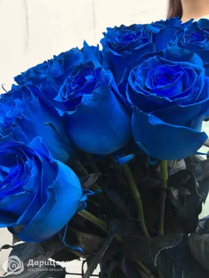 Синие розы 70 см доставка в Брянске | Нескучная История