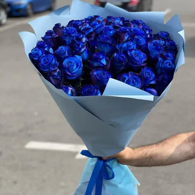 Синие розы фото картинки фотографии