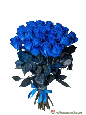Статьи » Как выращивают синие розы