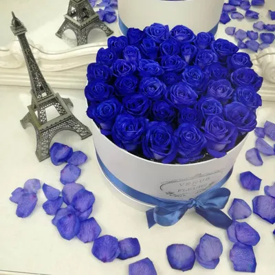 ᐉ Купить синие розы 25 штук в оформлении в Павлодаре — Интернет-магазин  PavlodarZakazBuketov