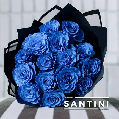 Синие розы : 25 синих роз