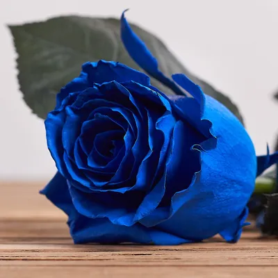 Синие розы купить в Уссурийске с доставкой недорого - заказать букет цветов  (синих роз)