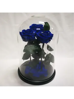 Синие розы купить с доставкой в Челябинске, заказать букет синих роз