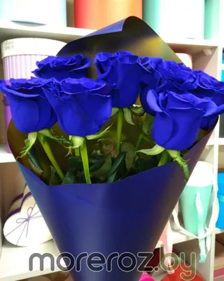 Букет синих роз 151 шт. купить с доставкой в Москве. Цена от 40770 ₽