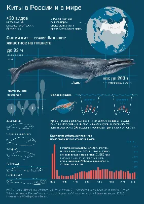 Фигурка животного Детское Время Синий кит купить по цене 878 ₽ в  интернет-магазине Детский мир