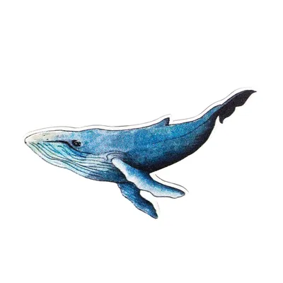 Российская игра в самоубийство «Синий кит» докатилась до Китая: почему она  не станет популярной в Поднебесной? (Livedoor News, Япония) | 07.10.2022,  ИноСМИ