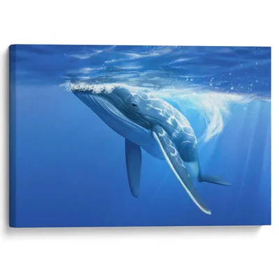 Детское Время\" M6002 Фигурка животного Синий кит (хвост изогнут, цвета:  голубой, серый, белый) купить за 749,00 ₽ в интернет-магазине Леонардо