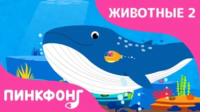 Синий кит. Невероятная история самого крупного животного всех времён —  купить по низкой цене на Яндекс Маркете