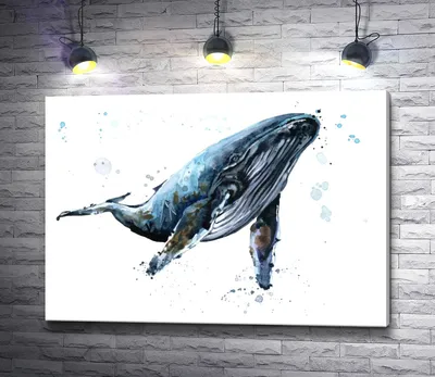 Скетчбук \"Синий кит\" (А4) Канц-Эксмо : купить в интернет-магазине — OZ.by