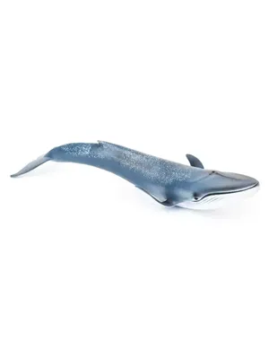 Синий кит - 3D-сцены - Цифровое образование и обучение Мozaik